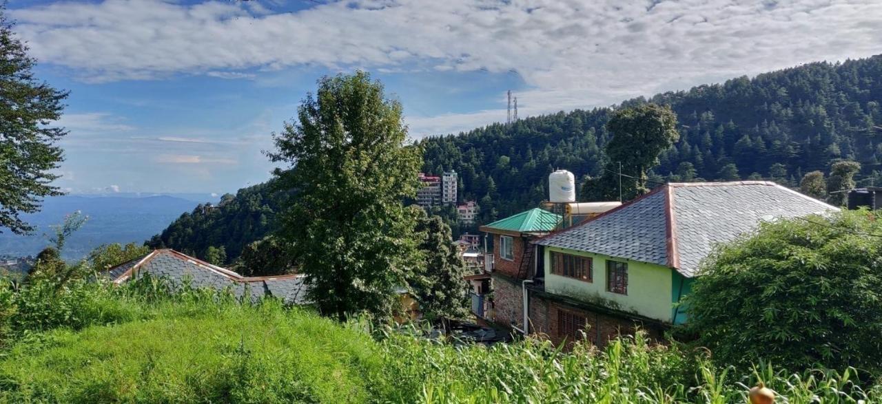 White Rabbit Guest House Dharamshala Esterno foto